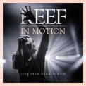 Reef - In Motion (Live From Hammersmith) '2019