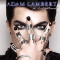 Adam Lambert - For Your Entertainment '2010