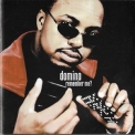 Domino - Remember Me? '1999