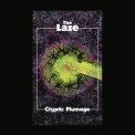 The Laze - Cryptic Plumage '2018