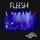 Fleesh - Live At Carioca Progfestival '2019