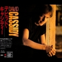 David Cassidy - David Cassidy '1990