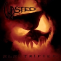 Wasted - Electrified '2019