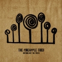Pineapple Thief, The - Nothing But The Truth '2021