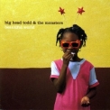 Big Head Todd & The Monsters - Beautiful World '1997