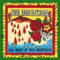 Big Mountain - The Best Of Big Mountain '1999