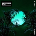 David Guetta - Flames (Remixes) '2018