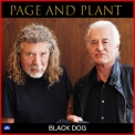 Robert Plant - Black Dog '2020