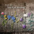 Trio X of Sweden - Trad. Arr '2021