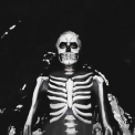 The Maine - Forever Halloween '2013