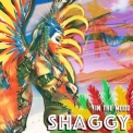 Shaggy - In The Mood '2023