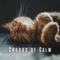 Pianopassion - Chords of Calm: Piano Melodies for Cats' Relaxation '2023