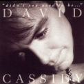 David Cassidy - Didn't You Used To Be... '1992