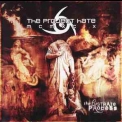 The Project Hate MCMXCIX - The Lustrate Process '2009
