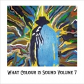 Various Artists - What Colour is Sound? (Volume 7) '2024