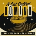 Roy Orbison - A Cat Called Domino: Rare Cuts from Roy '2024