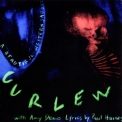 Curlew - A Beautiful Western Saddle '1993