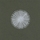 alt=