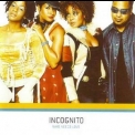Incognito - Who Needs Love '2002