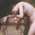Burzum - Fallen '2011
