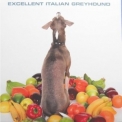 Shellac - Excellent Italian Greyhound '2007